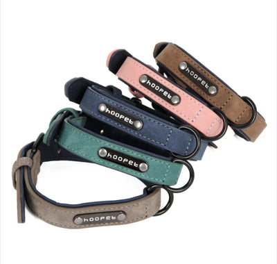 Adjustable Dog Collar & Leash Set